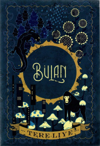 Image of Novel Bulan